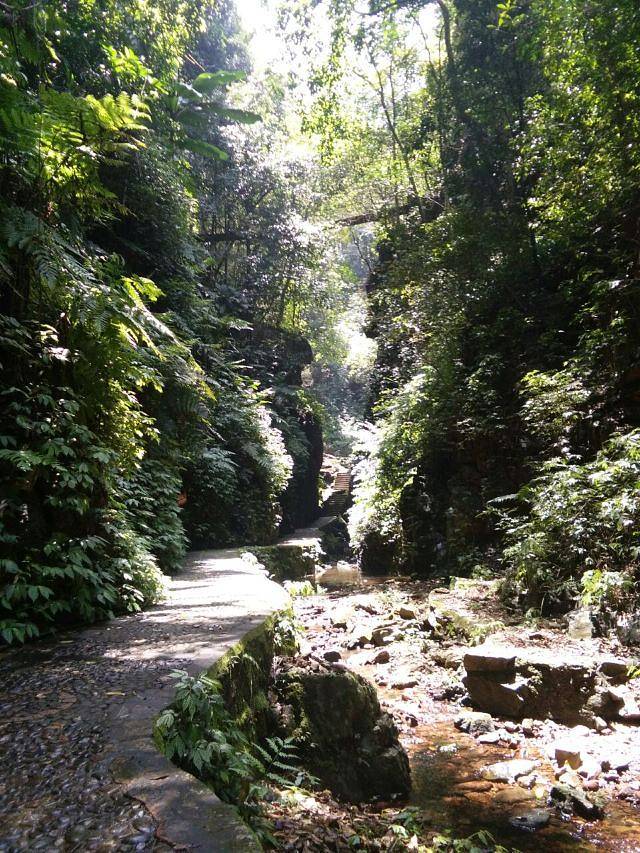 大桂山国家森林公园