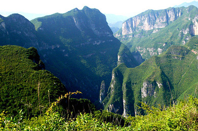 长寿八景图片