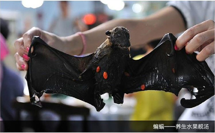 太平洋航空 香港直飞帕劳5-6天 国际五星酒店太平洋度假村(含早餐