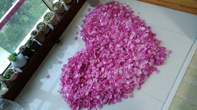 玫瑰小镇生态旅游观光园