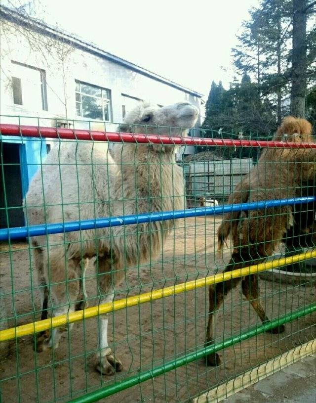 中山公园动物园