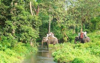 柳岸野生动物保护区