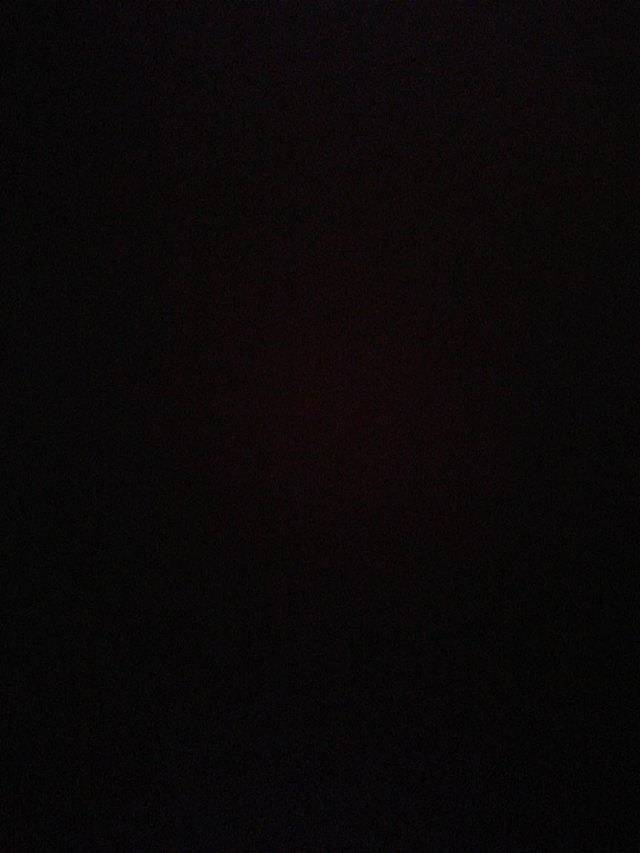 敦煌千年胡杨林