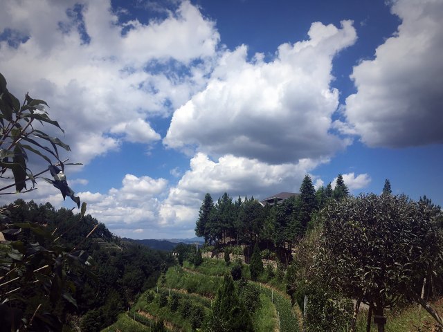 华祥苑茶庄园(珠塔村店)