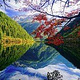 天堂部落藏家风情园