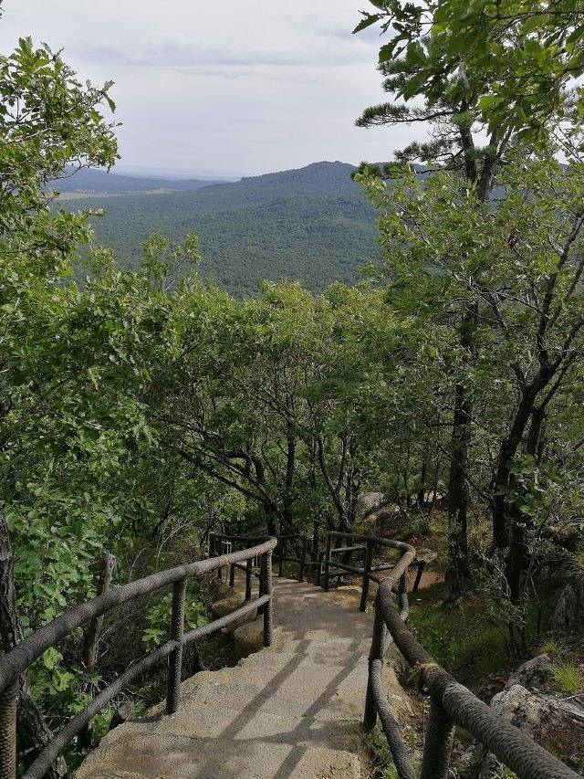 鸡冠山森林公园