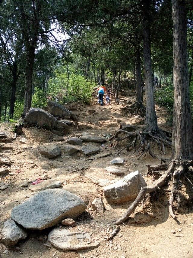 白云寺国家森林公园