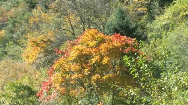 桐乡红杉邨景区