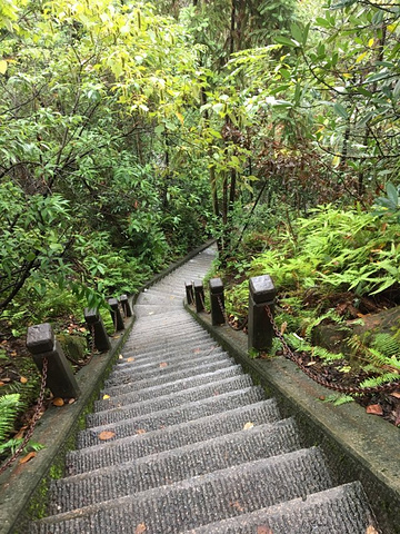 "土司城遗址占地面积很大，有民族特色的建筑物，还有微缩版长城一样的土司城墙_恩施土司城"的评论图片