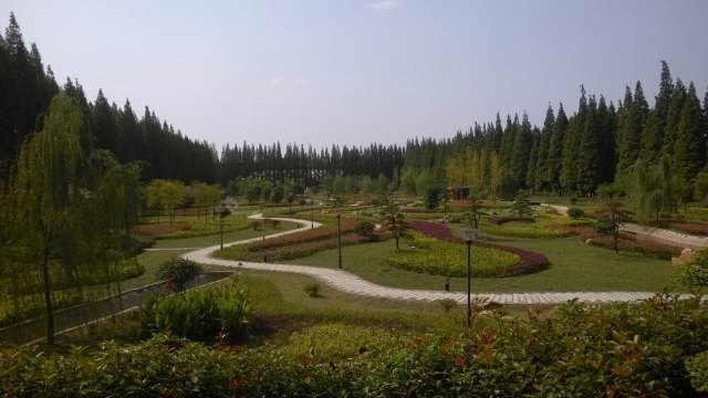 长江药用植物园