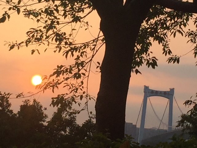 厦门博饼民俗园