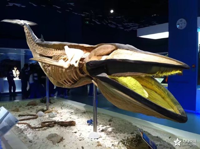 金石滩生命奥秘博物馆