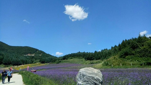 清原满族自治县文化旅游和广播电视局