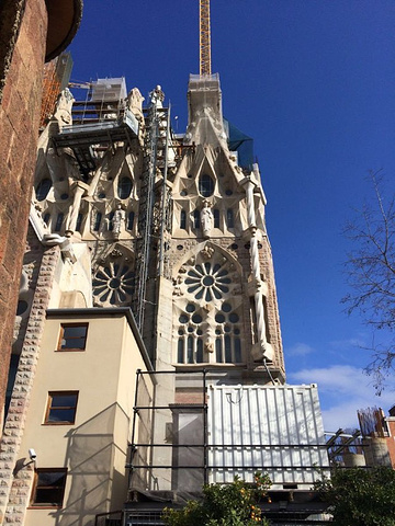 "_圣家主教座堂"的评论图片