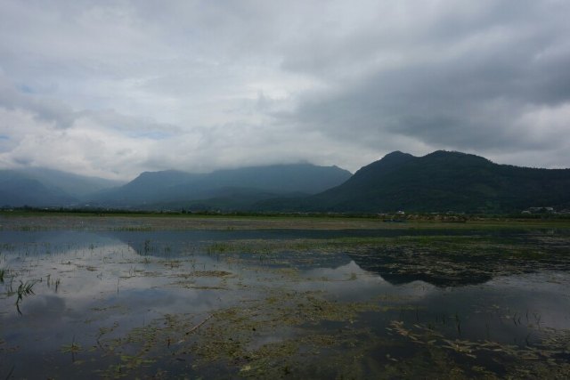 拉市海纳西古马场