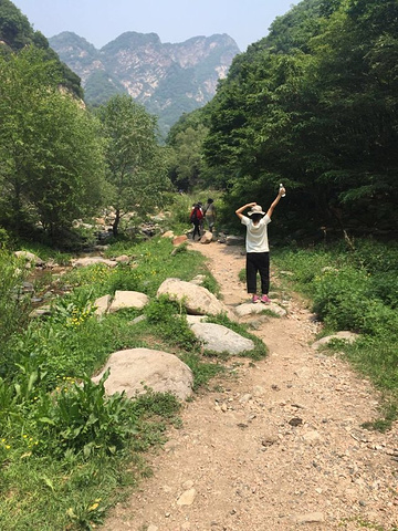 "下山的观光车也还不错，山上有空地可以休息，野营，露宿。游玩的人不是很多，很亲近大自然_猪圈沟生态风景区"的评论图片