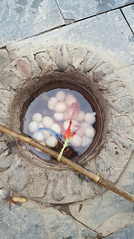 蕃薯,温泉水泡的味道就不一样,哈……唯一不喜欢的就是当地村民就在