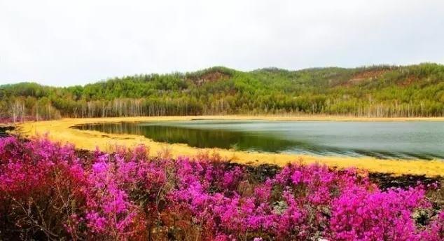 达尔滨湖国家森林公园