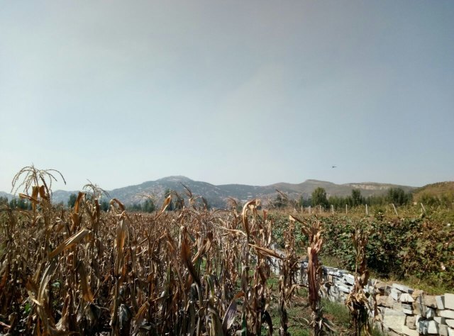 山东沂蒙钻石国家矿山公园