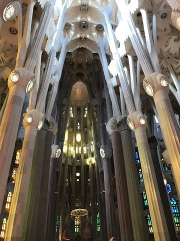 "_圣家主教座堂"的评论图片