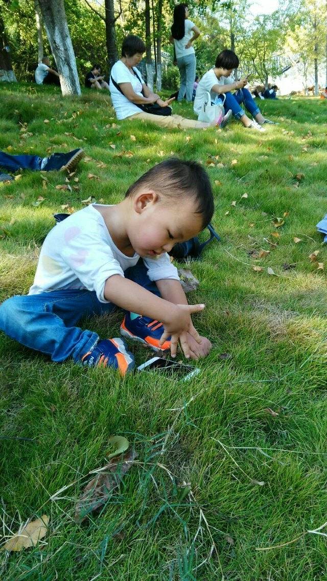 安陆钱冲古银杏生态旅游区