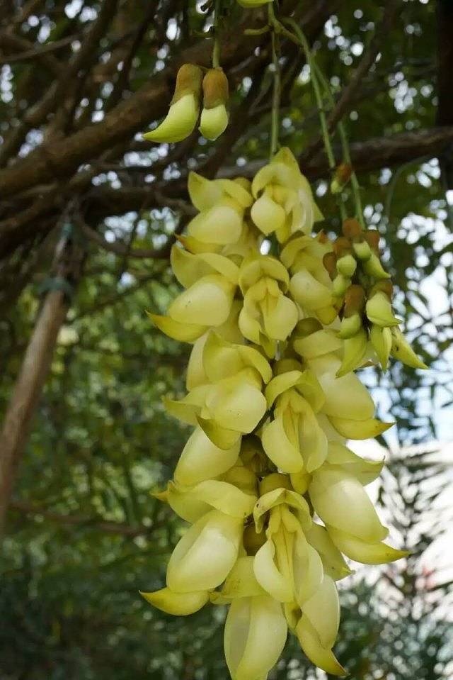 九道谷漂流风景旅游度假区