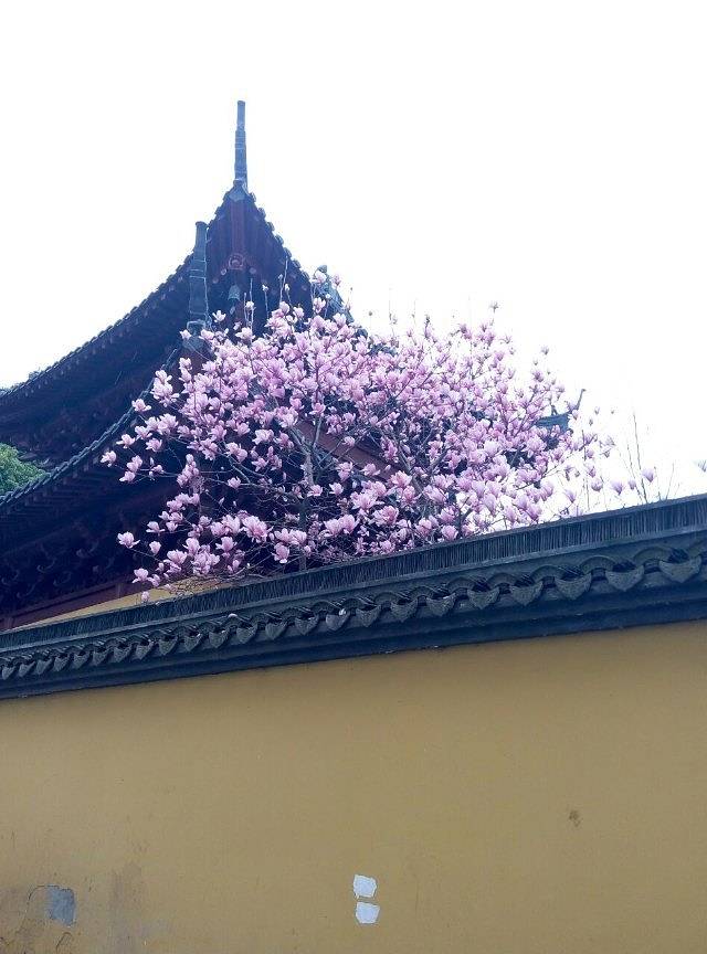 安康寺