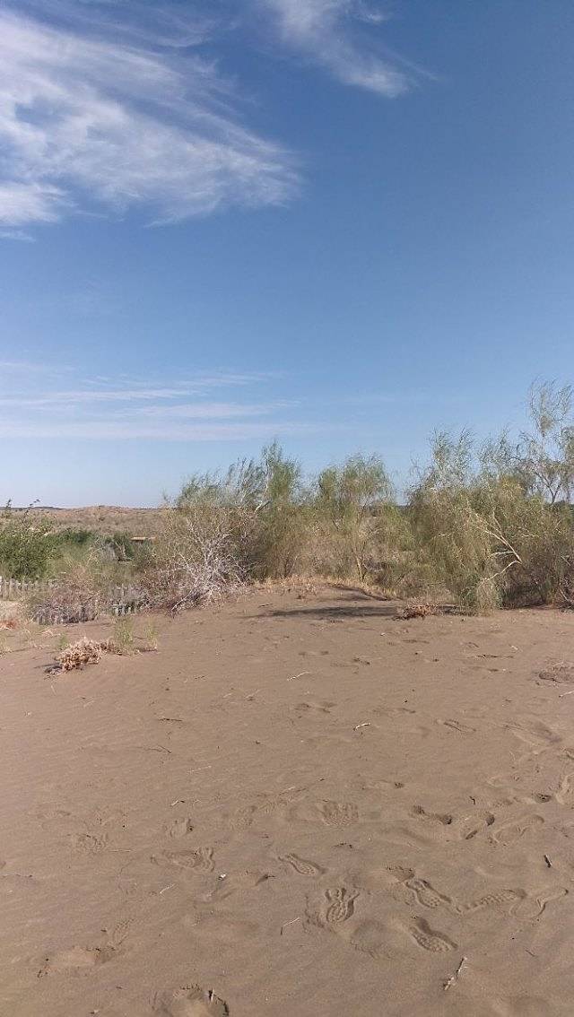 驼铃梦坡沙漠公园