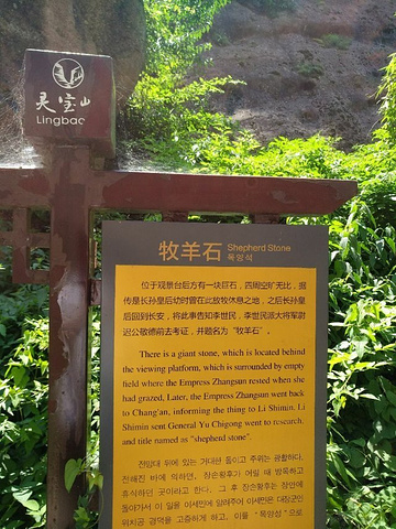 "_灵宝峡旅游区"的评论图片