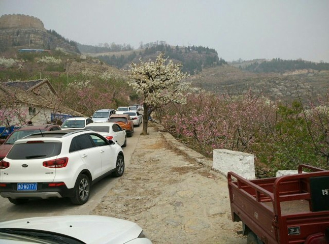 "这是临沂最好的景点，爬上山一点都不累，自从挖出宝贝后，来玩的人更多了，空气最新鲜，有地下冰宫，..._天上王城景区"的评论图片