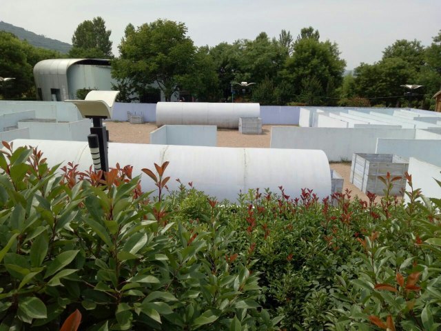 千湖国家湿地公园