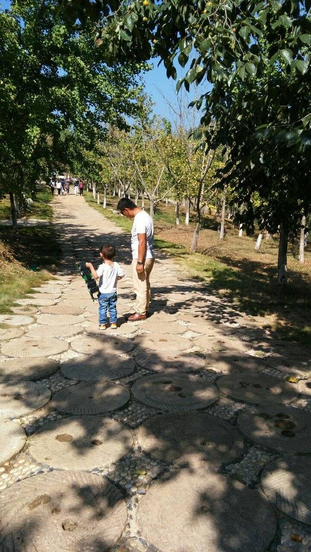 安陆钱冲古银杏生态旅游区