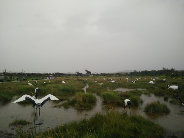 呼伦贝尔市扎赉诺尔区儿童科技馆