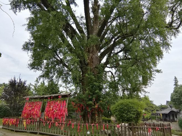 "梅花洲风景区，属AAAA级景点，因其大小河道曲折潆绕、纵横交错，将地势惟妙地分成五瓣，状若梅花..._梅花洲"的评论图片