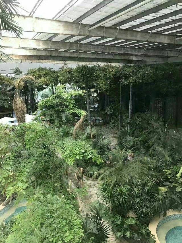 焦作红峡谷温泉