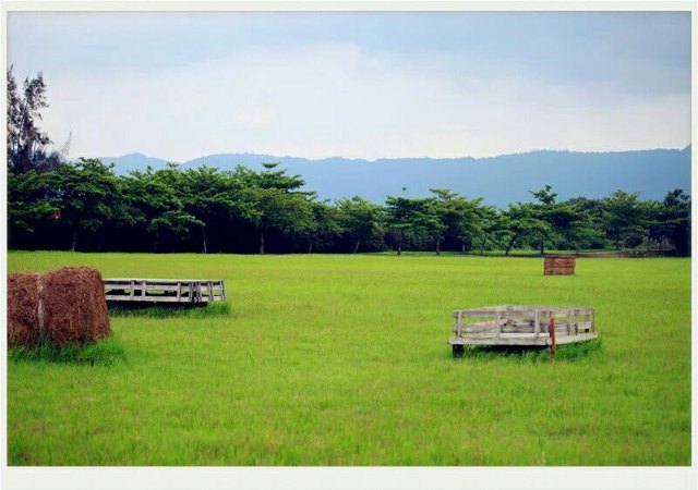 新光兆丰休闲农场