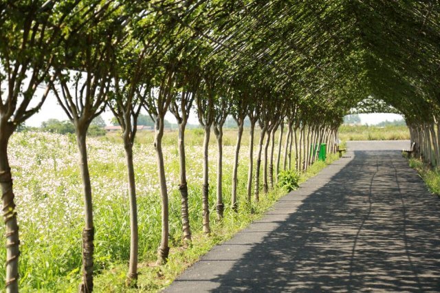 醉美西湖观光游乐园