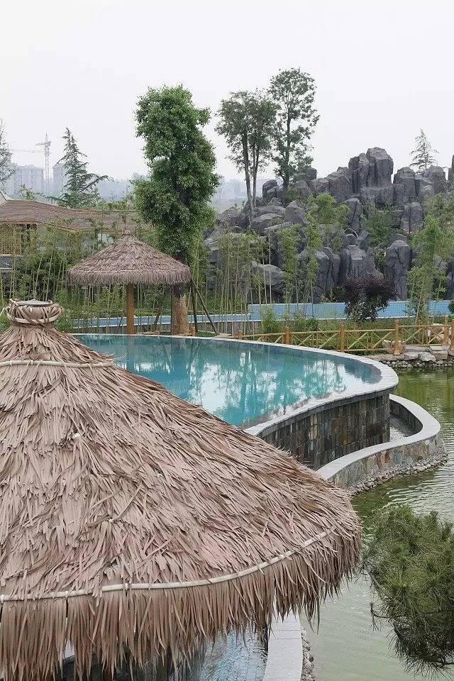 揽翠湖天沐温泉度假村