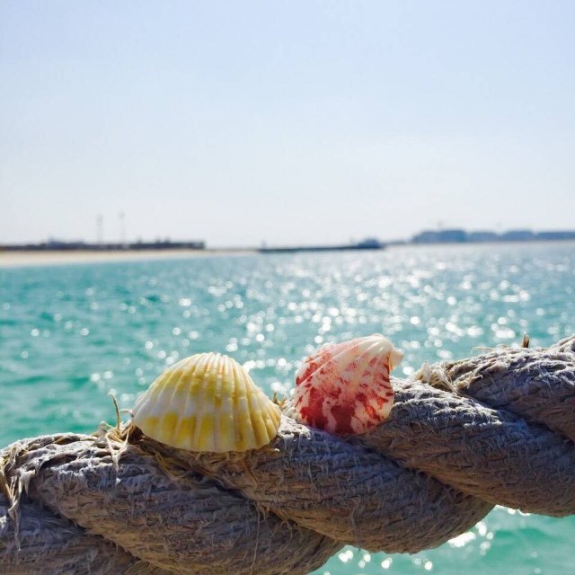 朱美拉海滩公园