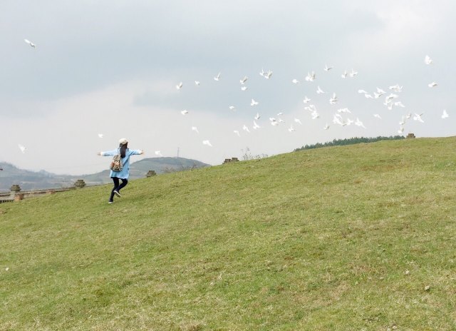 贵州修文苏格兰牧场