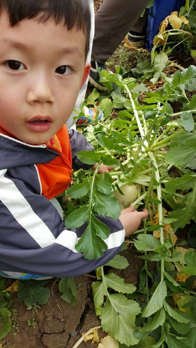 留民营生态科普公园