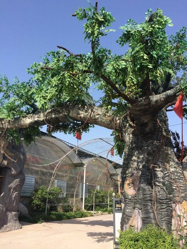 杨凌现代农业示范园区创新园