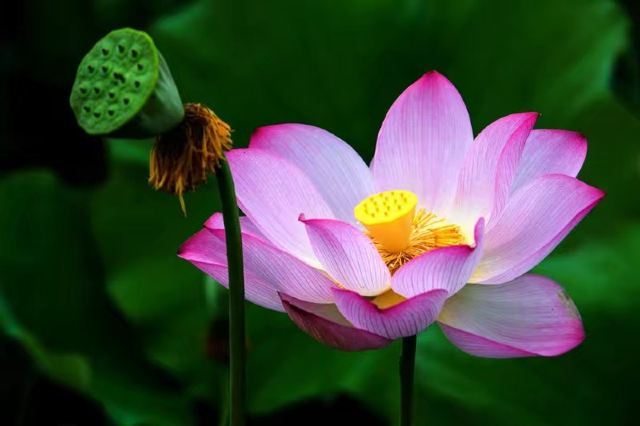 世外桃源风景区