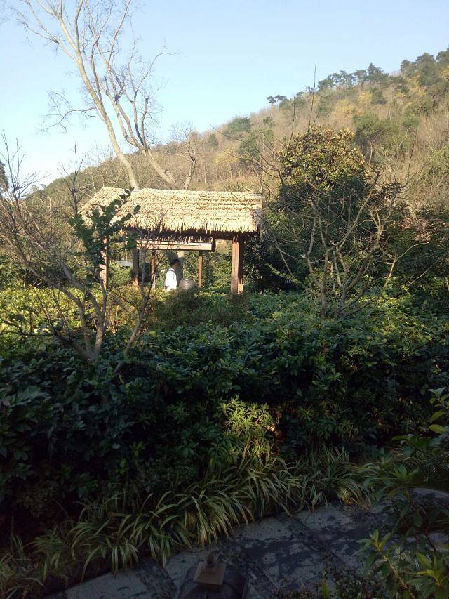 慈溪达蓬山温泉