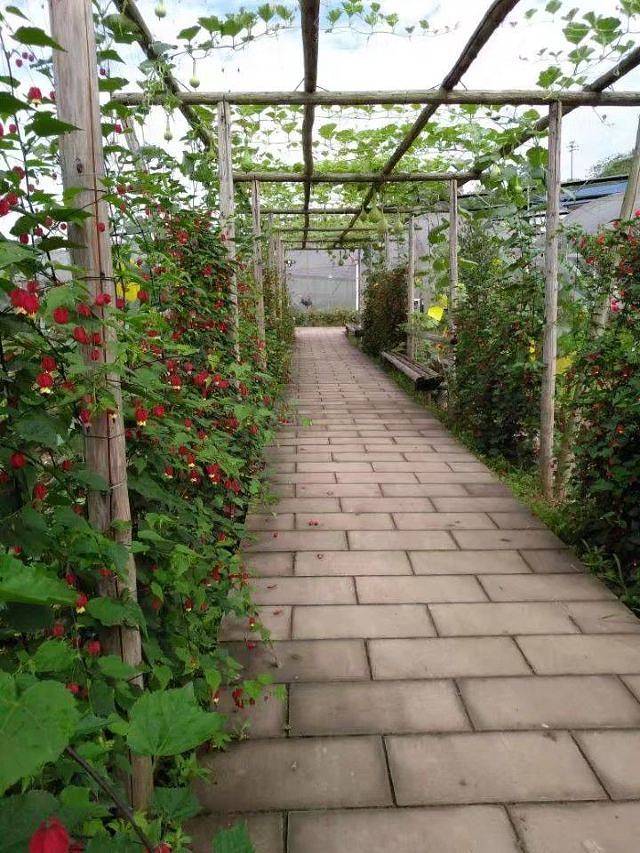 花芊谷农业科技园