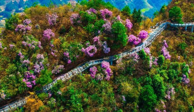 穿岩山国家森林公园