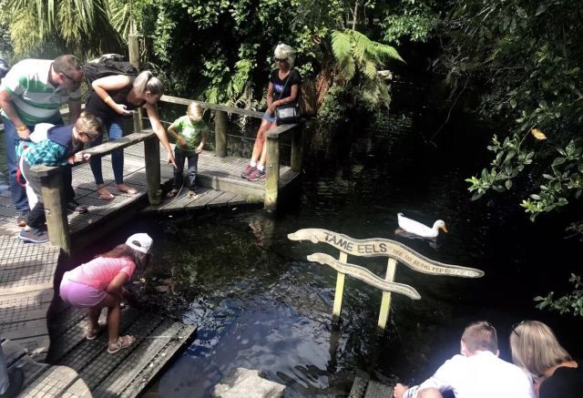 柳岸野生动物保护区