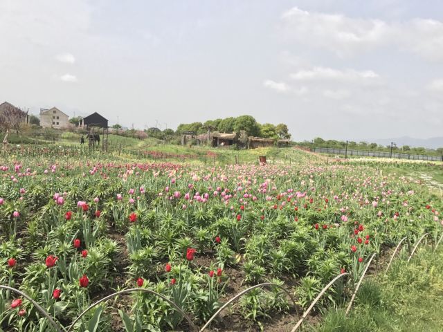 荻浦花海欢乐世界