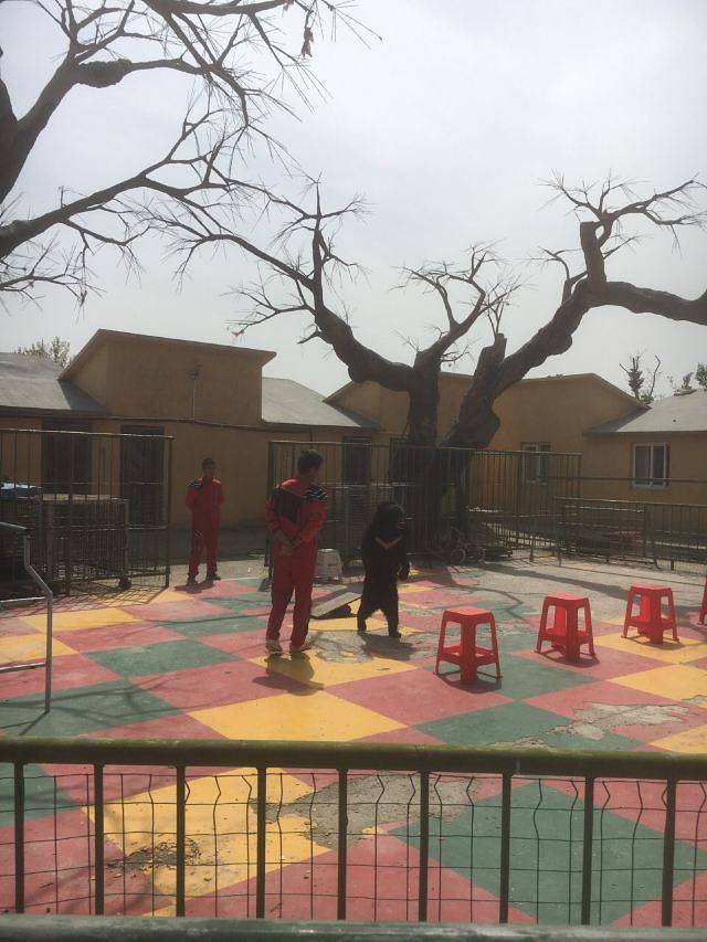 盐城大丰港动物园