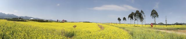 罗平航空露营地